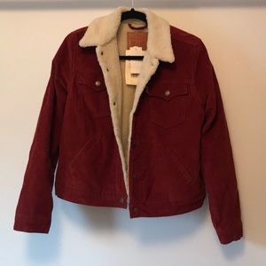 Levi’s never worn shearling lined cord jacket